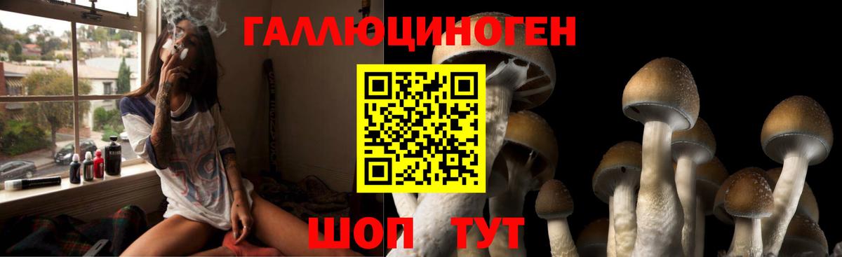 Псилоцибиновые грибы Psilocybine cubensis  Вход с VPN  Обнинск  Галлюциногенные грибы Psilocybe 